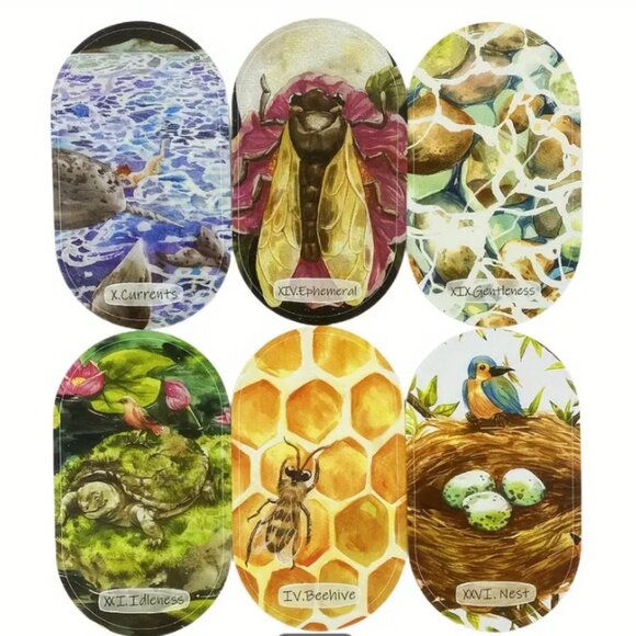 WILD CHILD Oracle Cards - NEW & SEALED - Picture 3 of 3